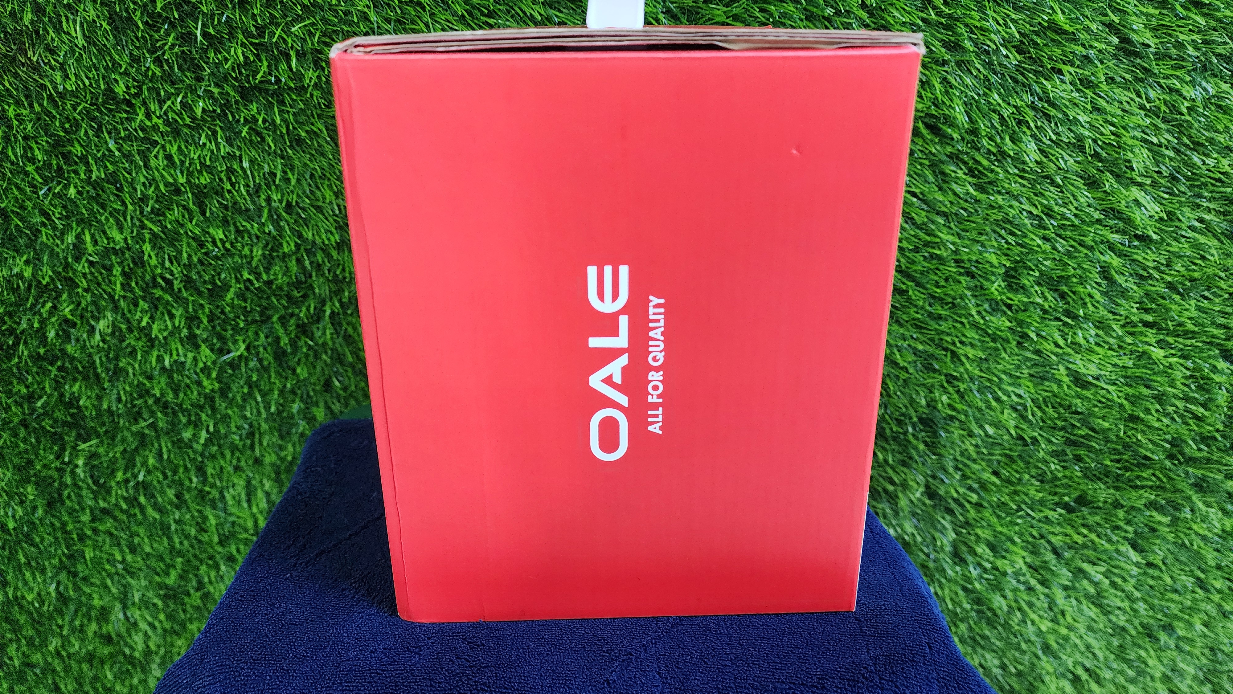 OAle imax  Projector