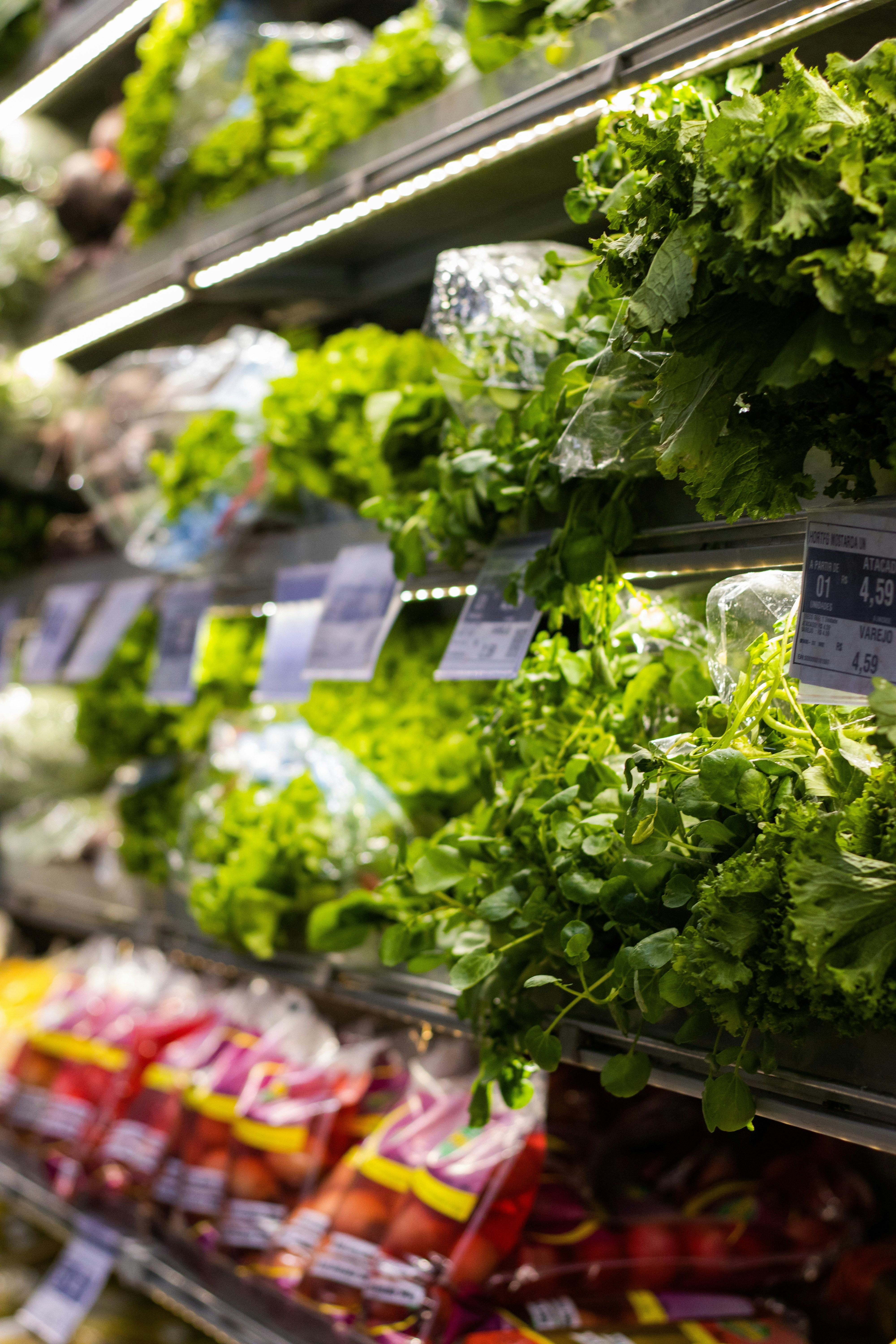 Food & Grocery